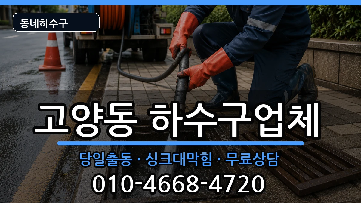 경기고양시덕양구고양동 하수구막힘 증상 처리 안내 이미지 3