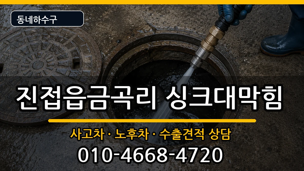 경기남양주시진접읍금곡리 싱크대막힘 증상 처리 안내 이미지 1