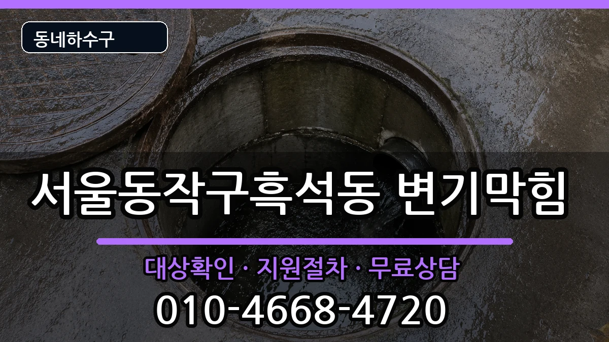 서울동작구흑석동 변기막힘 서울동작구흑석동 변기막힘 증상 처리 안내 이미지 2
