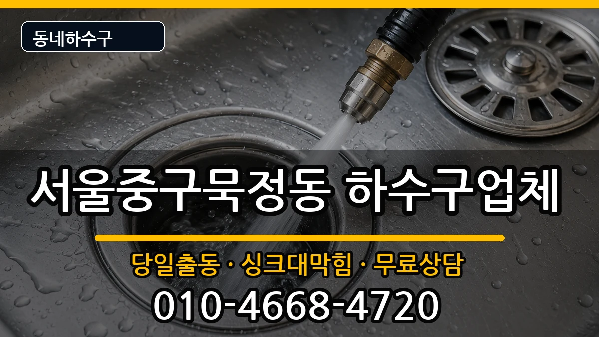 서울중구묵정동 하수구막힘 증상 처리 안내 이미지 1