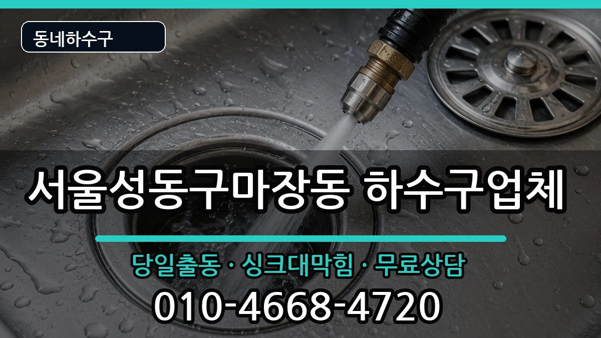 서울성동구마장동 하수구막힘 서울성동구마장동 하수구막힘 증상 처리 안내 이미지 1