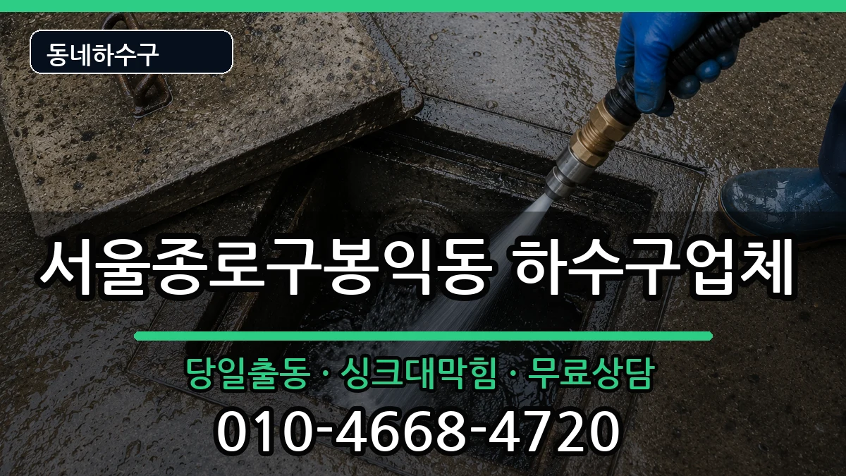 서울종로구봉익동 하수구막힘 서울종로구봉익동 하수구막힘 증상 처리 안내 이미지 3