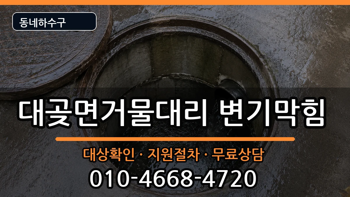 경기김포시대곶면거물대리 변기막힘 경기김포시대곶면거물대리 변기막힘 증상 처리 안내 이미지 2
