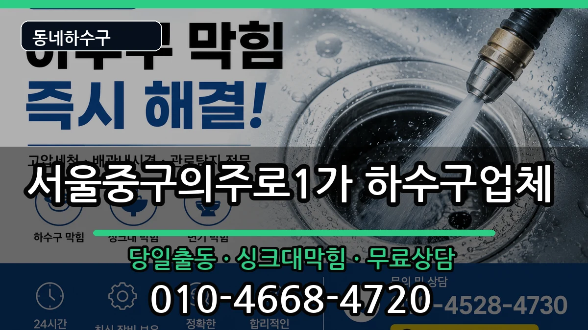 서울중구의주로1가 하수구막힘 서울중구의주로1가 하수구막힘 증상 처리 안내 이미지 3