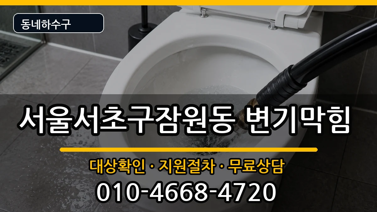 서울서초구잠원동 변기막힘 증상 처리 안내 이미지 3