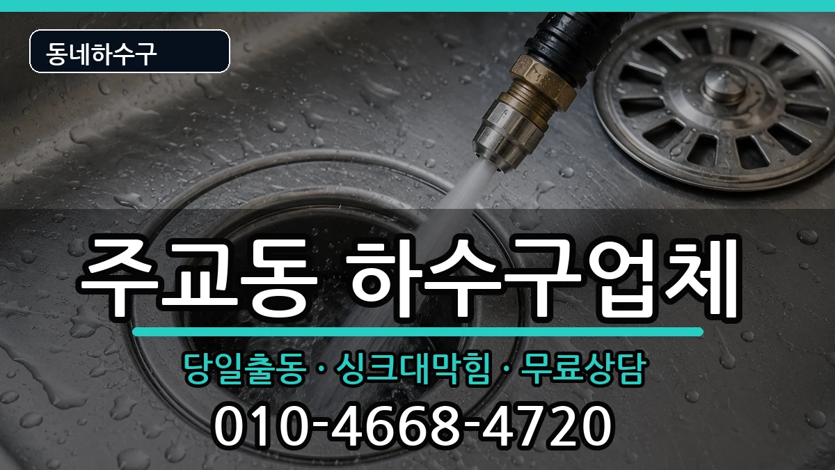 경기고양시덕양구주교동 하수구막힘 증상 처리 안내 이미지 3