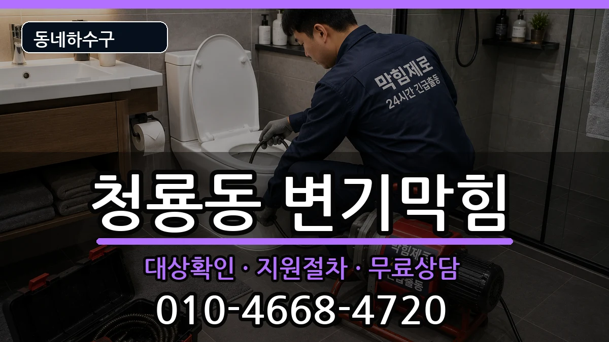 경기평택시청룡동 변기막힘 증상 처리 안내 이미지 3