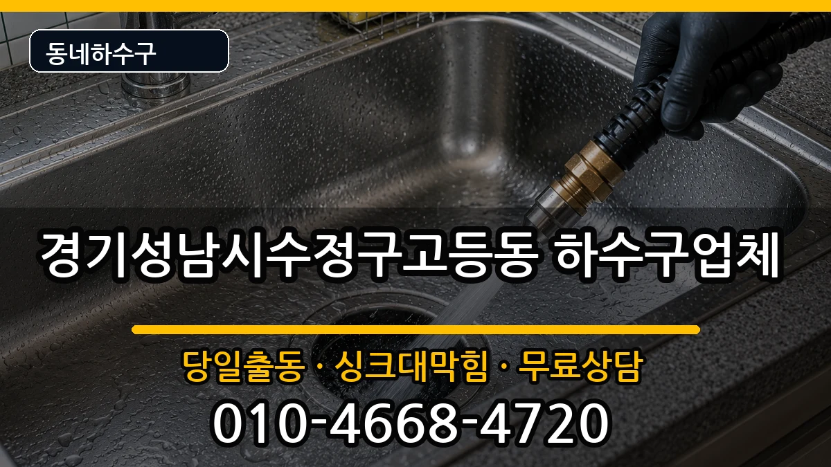 경기성남시수정구고등동 하수구막힘 증상 처리 안내 이미지 3