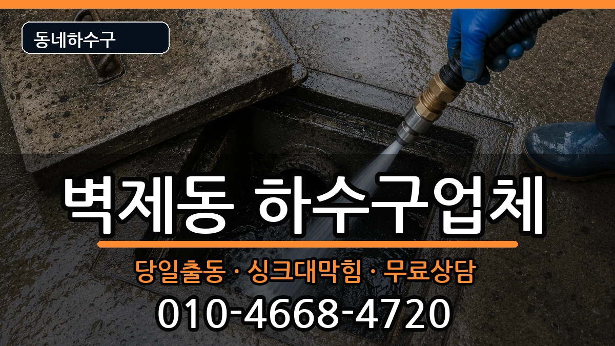 경기고양시덕양구벽제동 하수구막힘 증상 처리 안내 이미지 2
