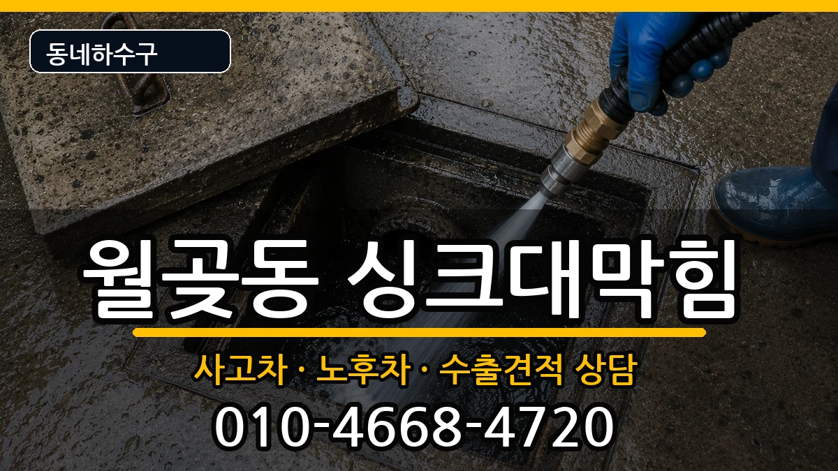 경기시흥시월곶동 싱크대막힘 증상 처리 안내 이미지 1