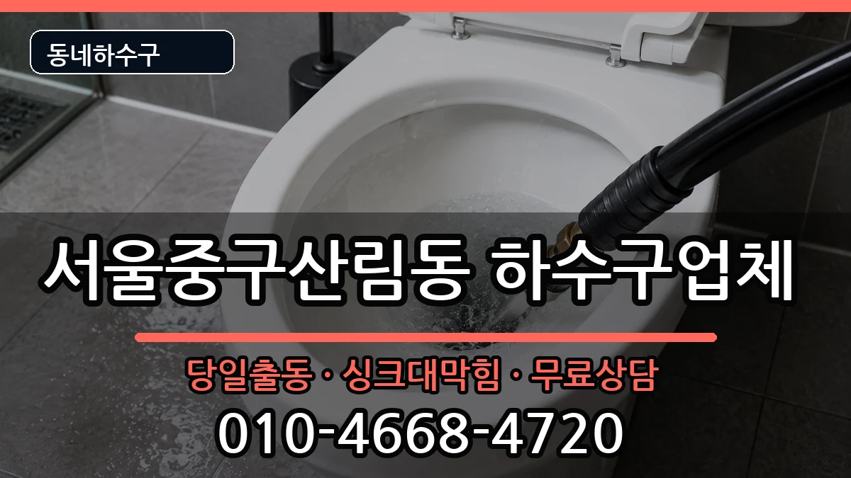 서울중구산림동 하수구막힘 서울중구산림동 하수구막힘 증상 처리 안내 이미지 1