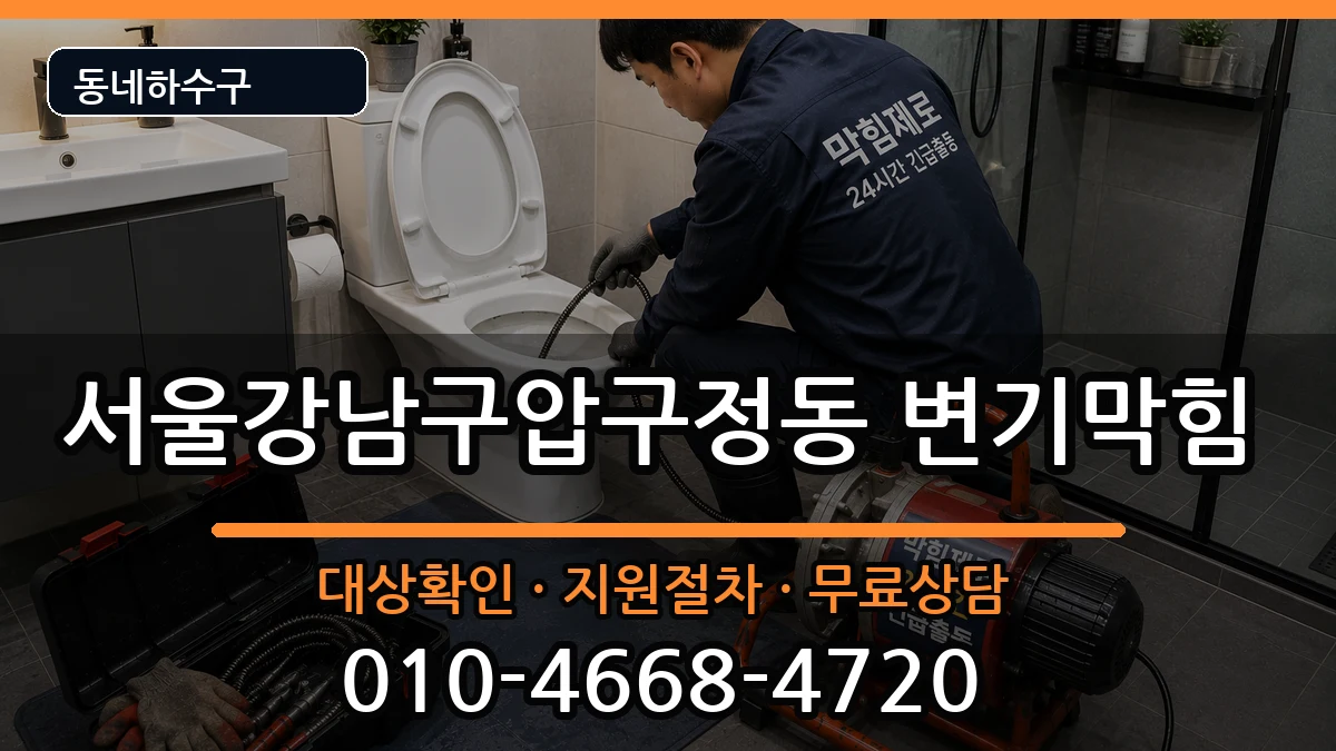 서울강남구압구정동 변기막힘 서울강남구압구정동 변기막힘 증상 처리 안내 이미지 1