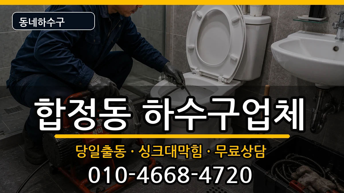 경기평택시합정동  하수구막힘 사례형