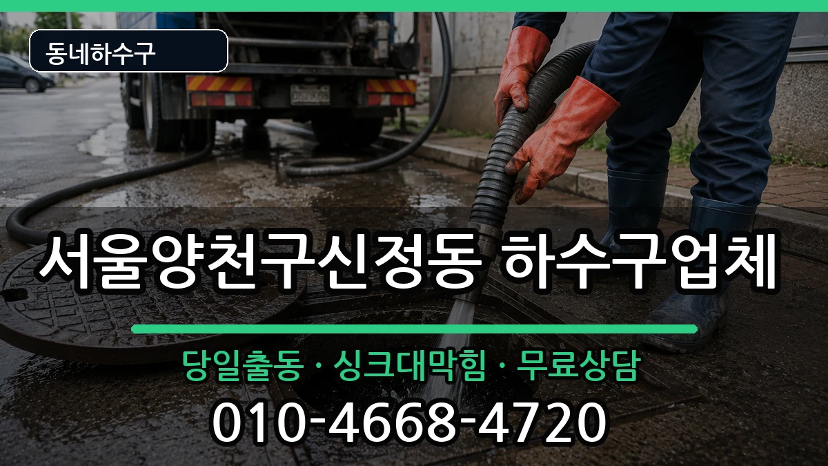 서울양천구신정동  하수구막힘 정보형