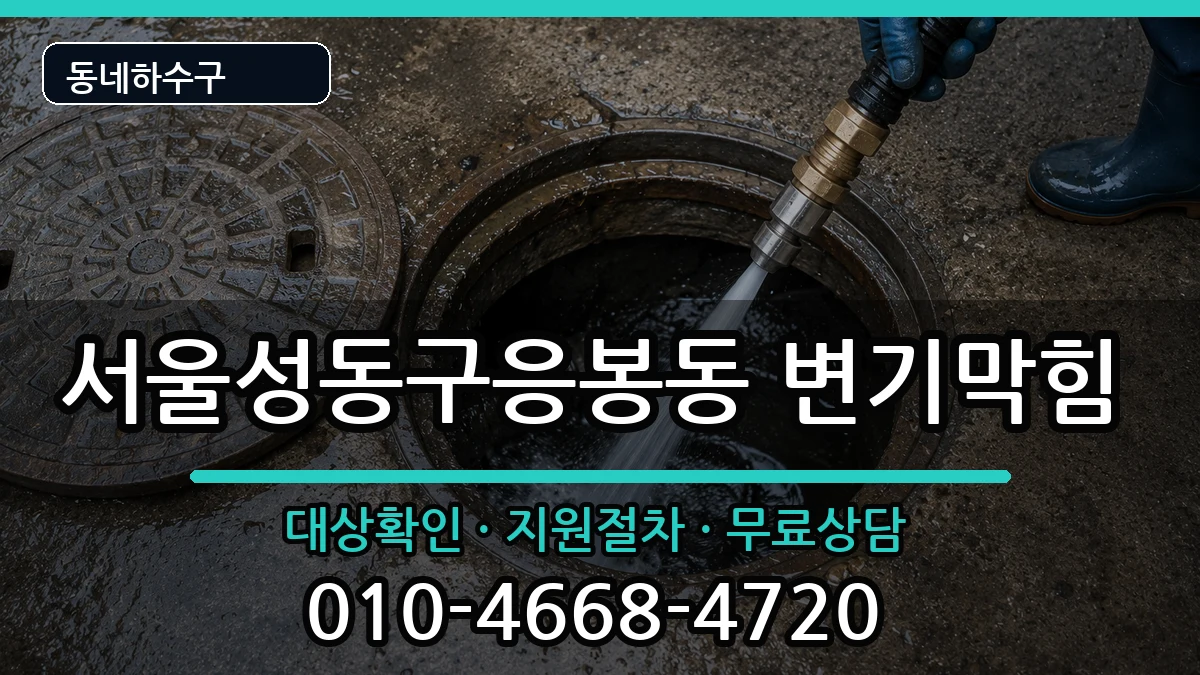 서울성동구응봉동 변기막힘 증상 처리 안내 이미지 2