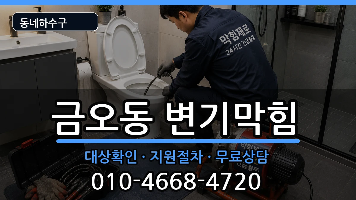 경기의정부시금오동 변기막힘 경기의정부시금오동 변기막힘 증상 처리 안내 이미지 1