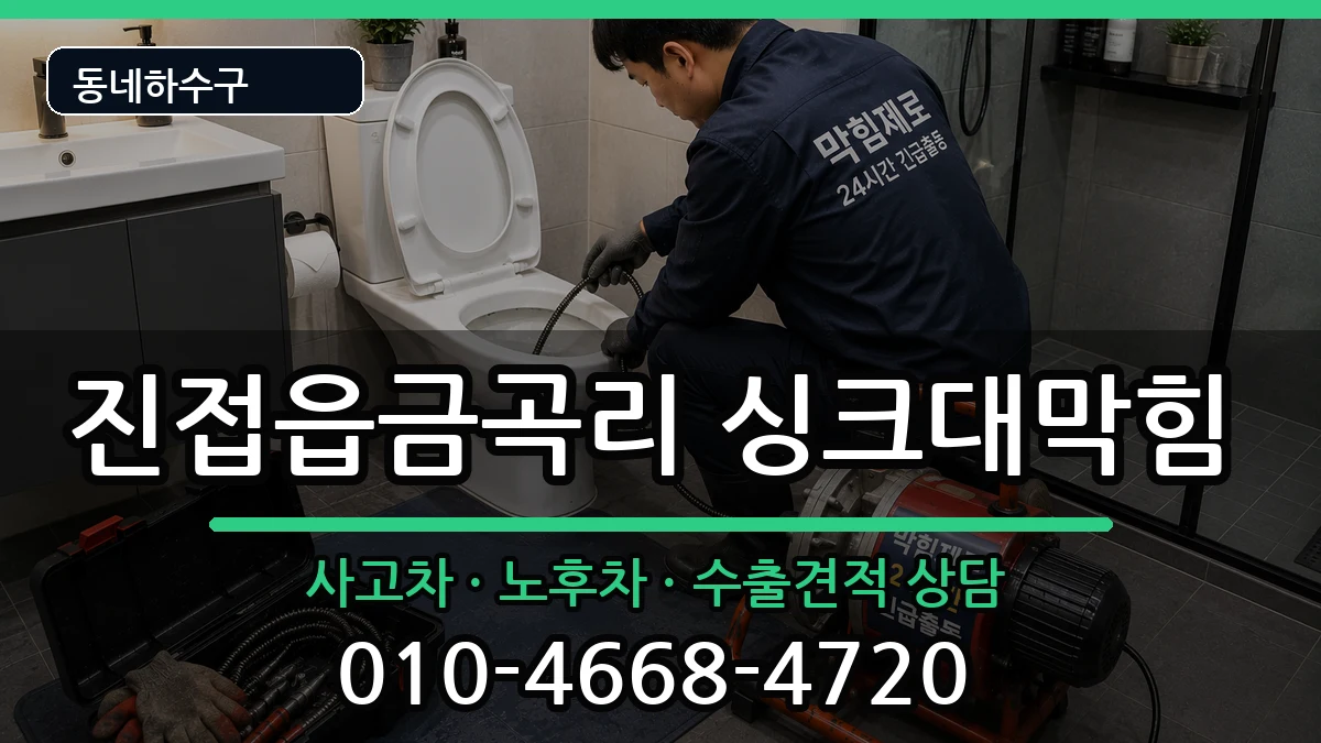 경기남양주시진접읍금곡리 싱크대막힘 증상 처리 안내 이미지 3