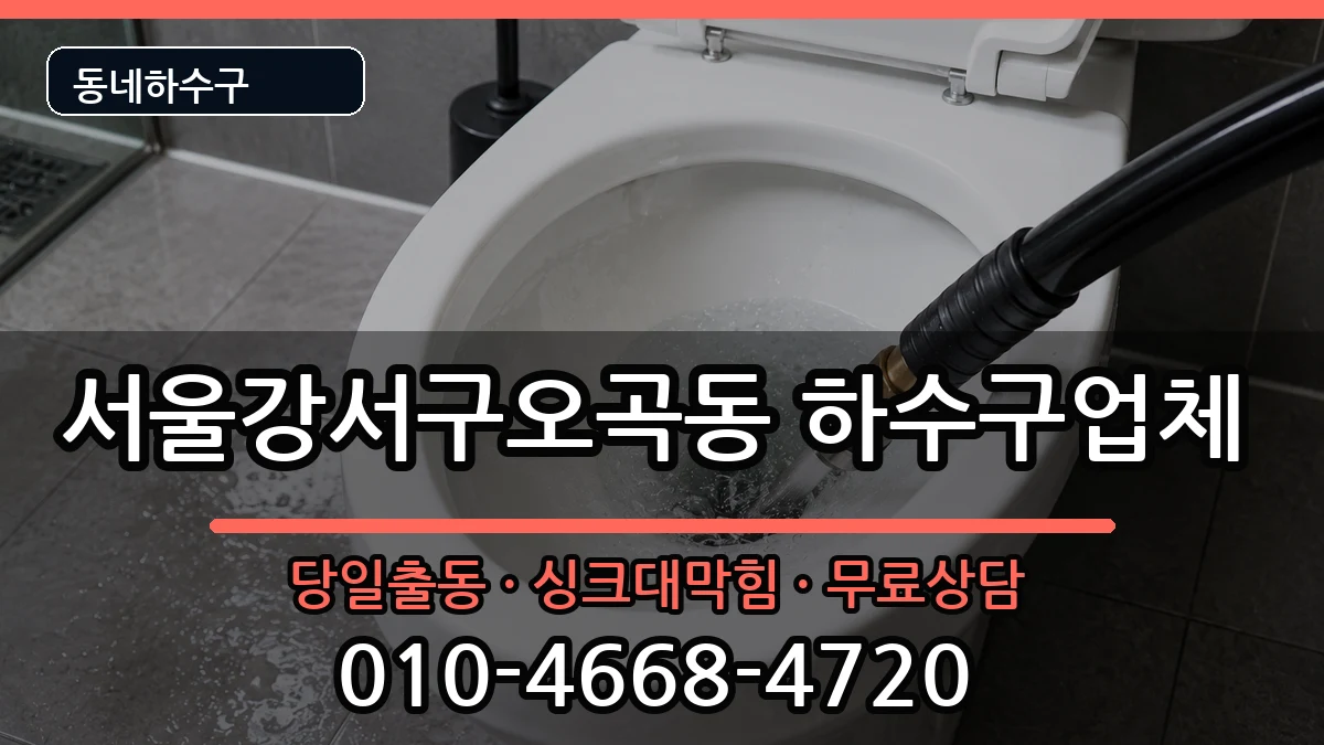 서울강서구오곡동 하수구막힘 서울강서구오곡동 하수구막힘 증상 처리 안내 이미지 1