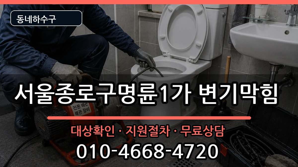 서울종로구명륜1가  변기막힘 비교형