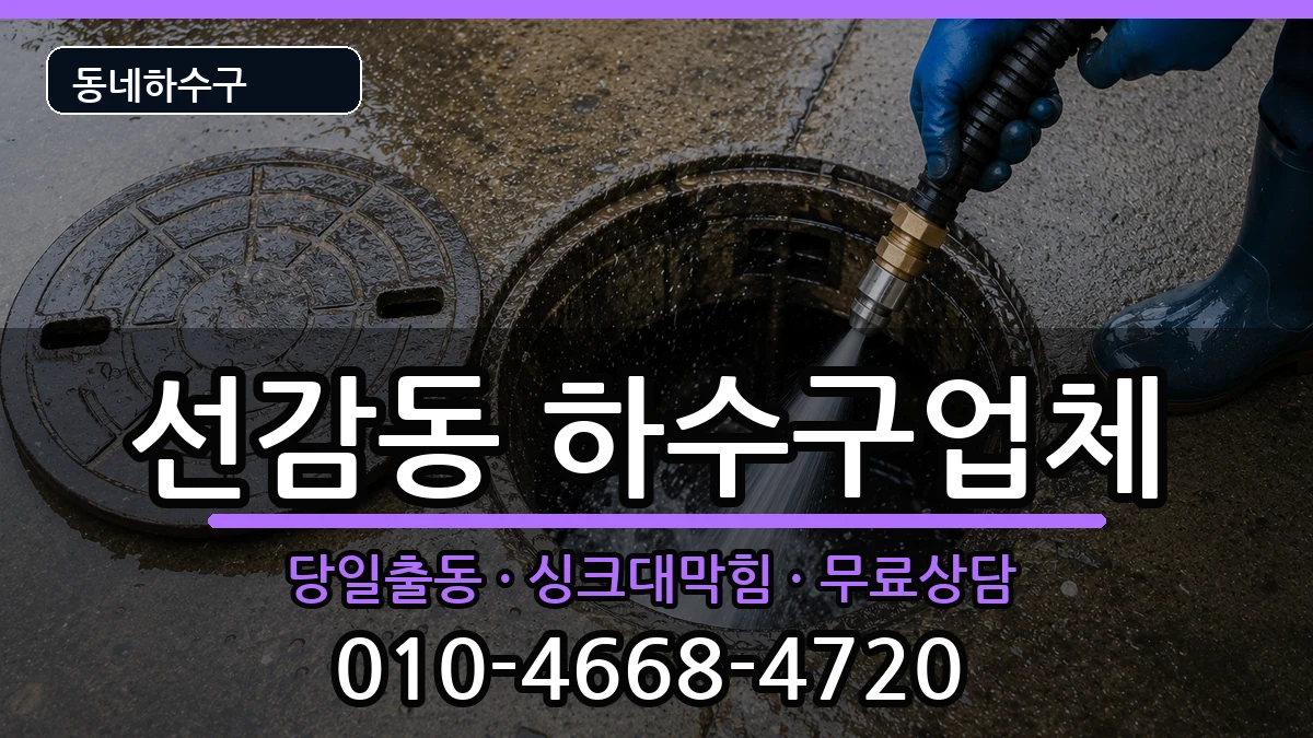 경기안산시단원구선감동 하수구막힘 증상 처리 안내 이미지 3