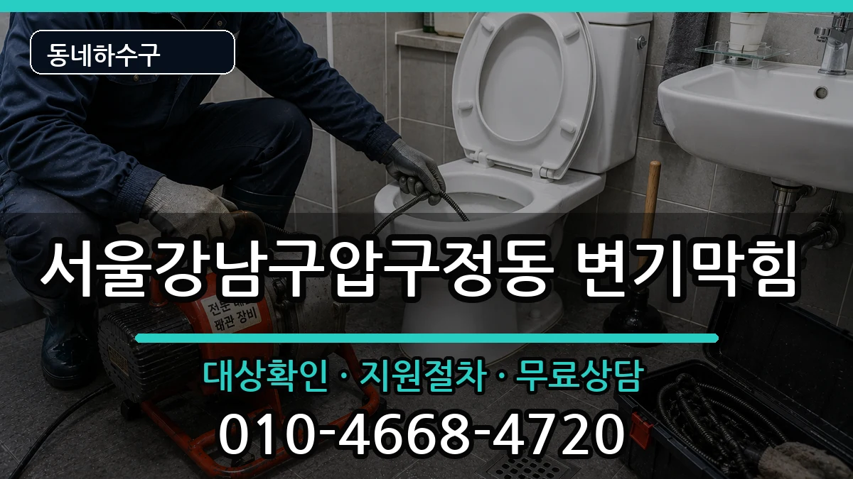 서울강남구압구정동  변기막힘 비교형