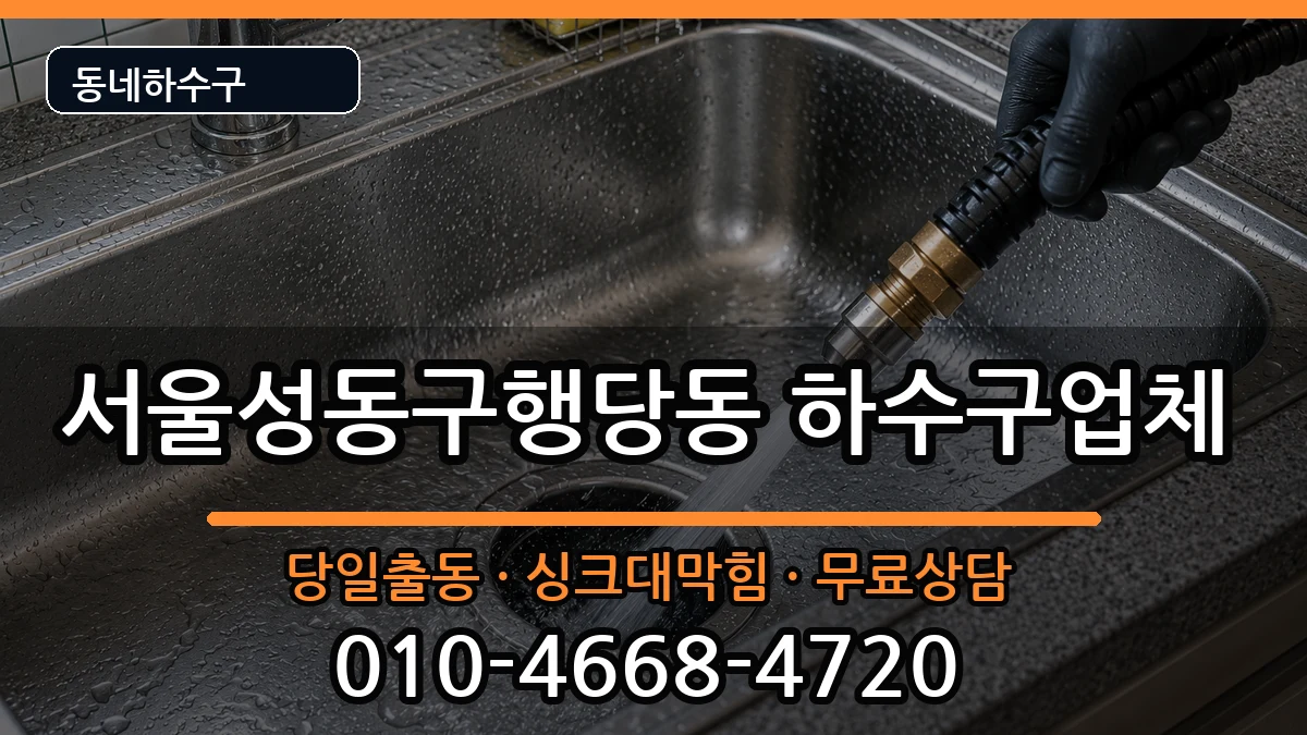 서울성동구행당동 하수구막힘 서울성동구행당동 하수구막힘 증상 처리 안내 이미지 2