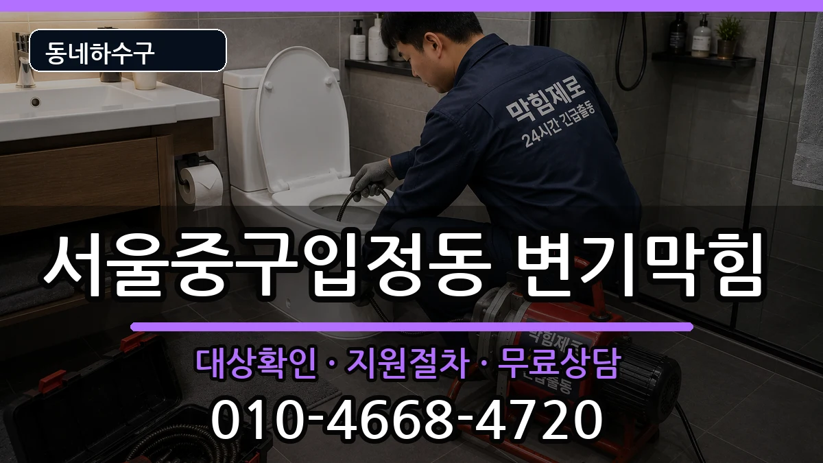 서울중구입정동 변기막힘 서울중구입정동 변기막힘 증상 처리 안내 이미지 1