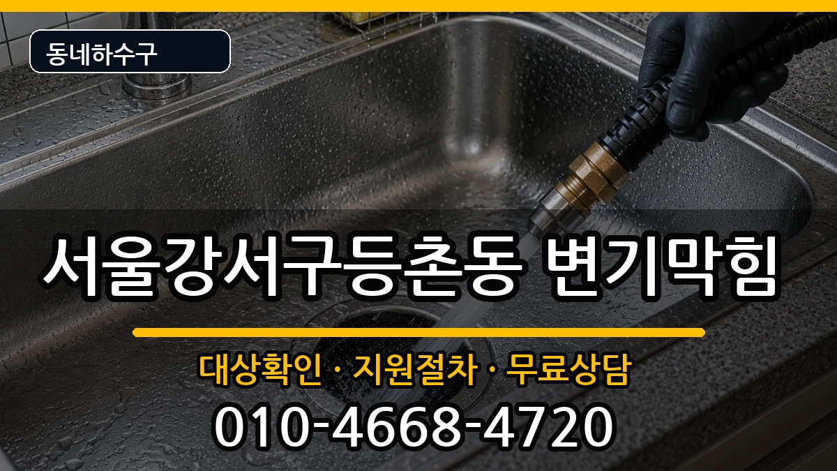 서울강서구등촌동 변기막힘 서울강서구등촌동 변기막힘 증상 처리 안내 이미지 2