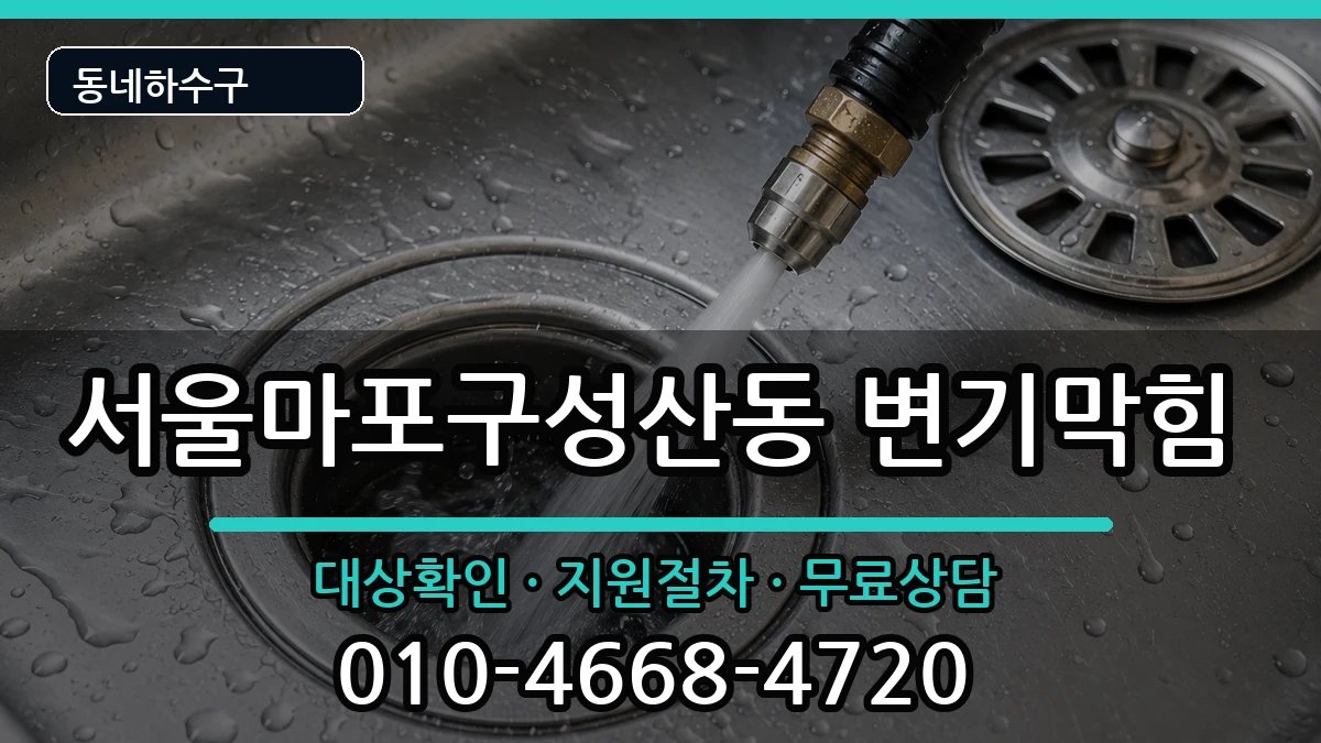 서울마포구성산동 변기막힘 서울마포구성산동 변기막힘 증상 처리 안내 이미지 3