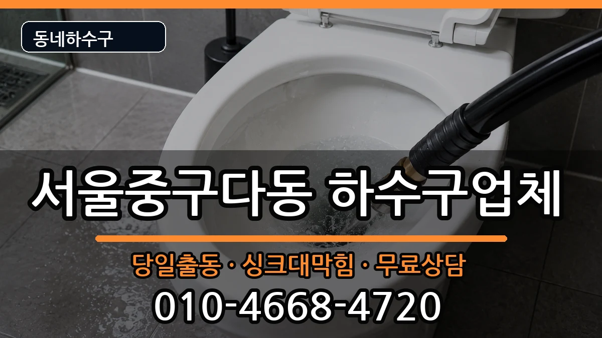 서울중구다동 하수구막힘 증상 처리 안내 이미지 3