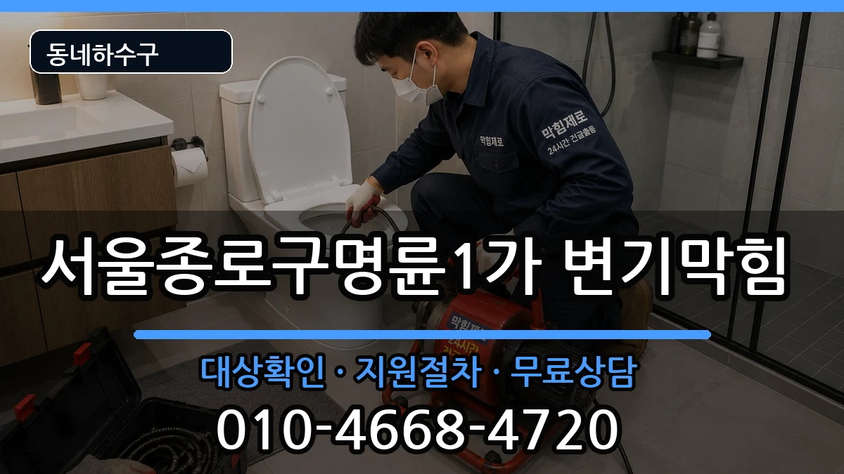 서울종로구명륜1가 변기막힘 서울종로구명륜1가 변기막힘 증상 처리 안내 이미지 2