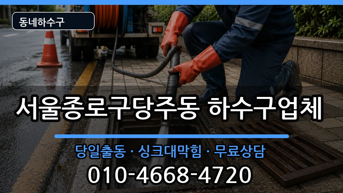 서울종로구당주동  하수구막힘 질문형