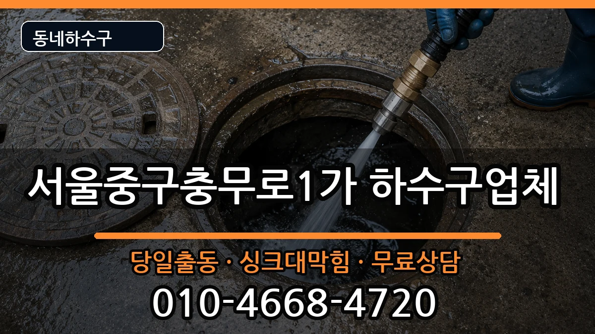 서울중구충무로1가 하수구막힘 서울중구충무로1가 하수구막힘 증상 처리 안내 이미지 1