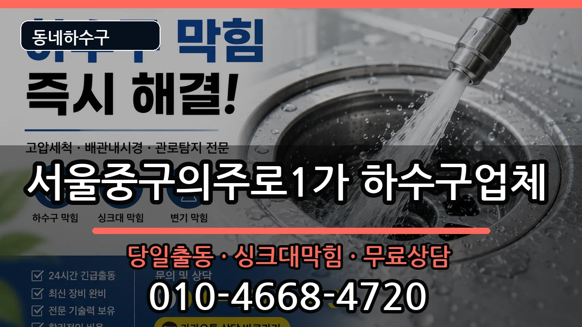 서울중구의주로1가  하수구막힘 지역형