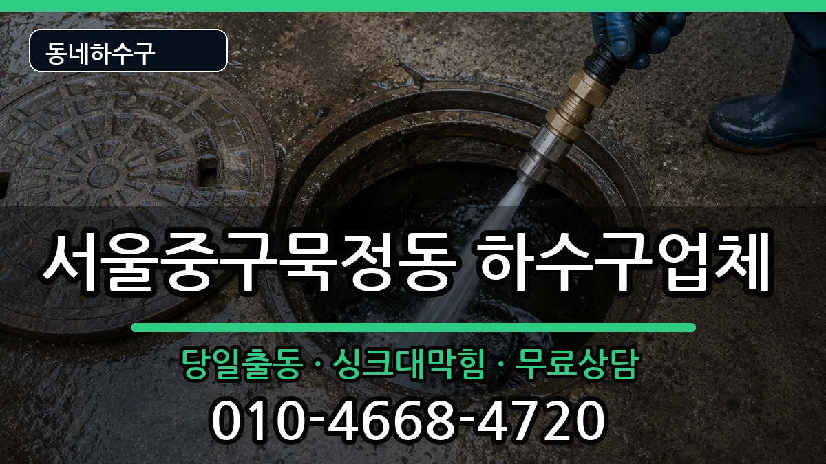서울중구묵정동 하수구막힘 증상 처리 안내 이미지 3