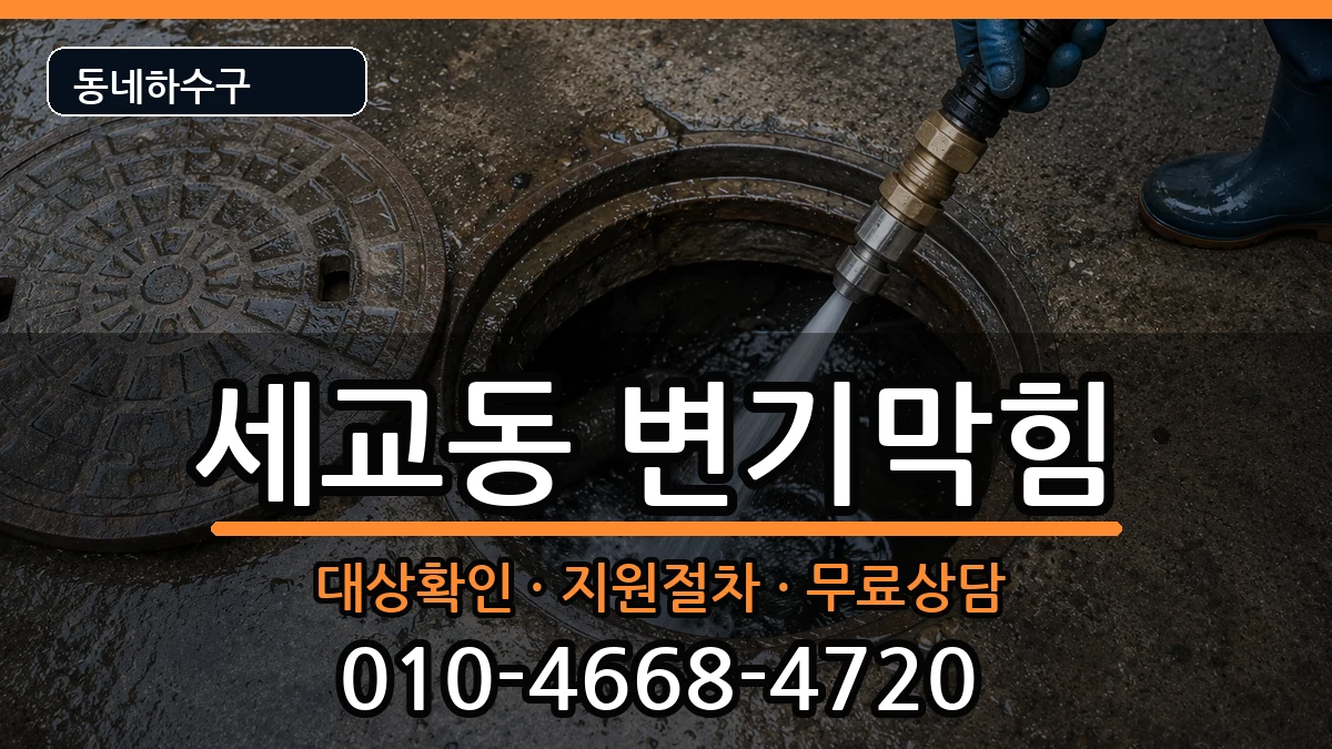 경기평택시세교동 변기막힘 증상 처리 안내 이미지 1