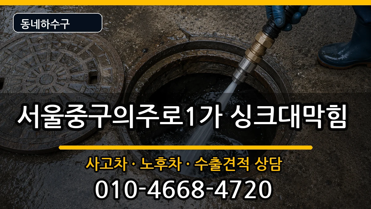 서울중구의주로1가 싱크대막힘 서울중구의주로1가 싱크대막힘 증상 처리 안내 이미지 3