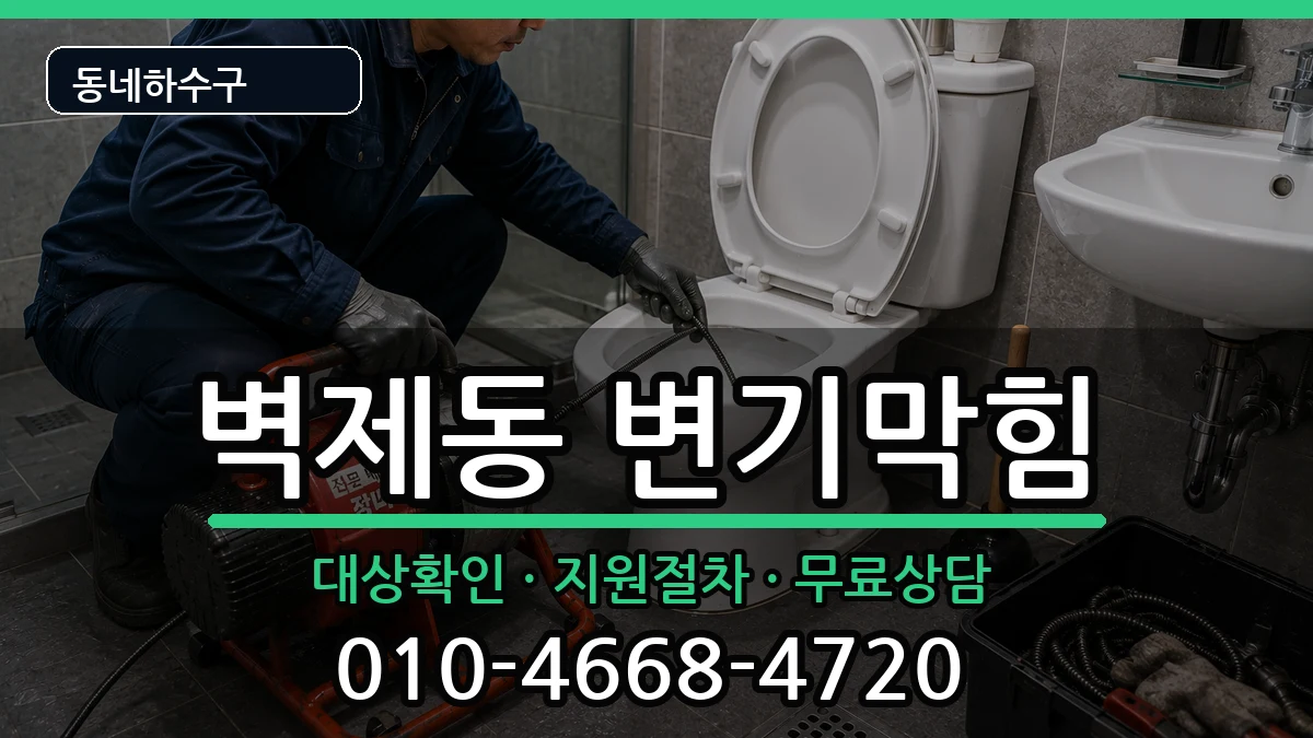 경기고양시덕양구벽제동  변기막힘 사례형