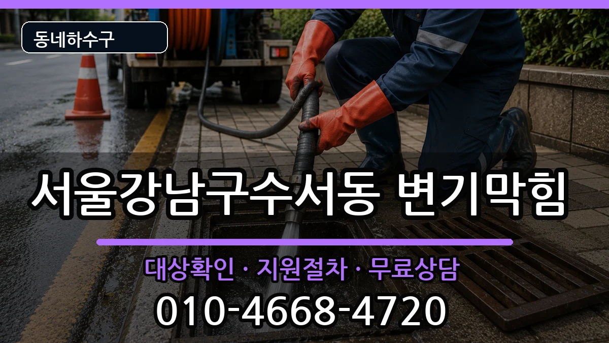 서울강남구수서동 변기막힘 증상 처리 안내 이미지 1