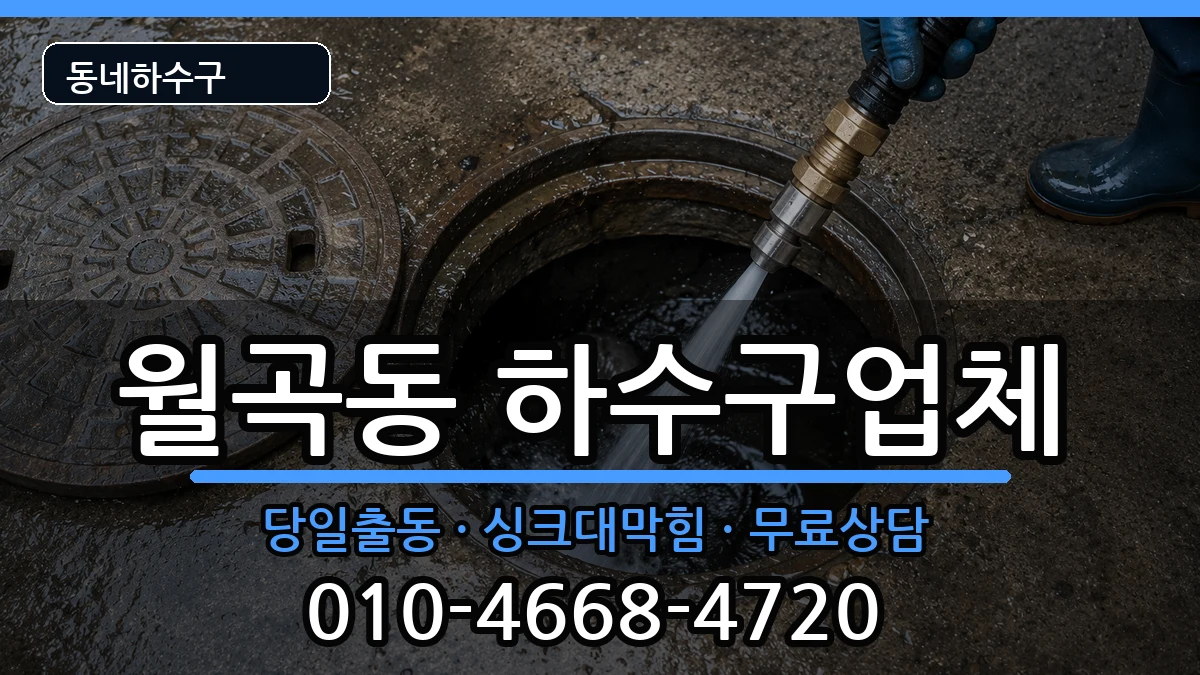 경기평택시월곡동 하수구막힘 경기평택시월곡동 하수구막힘 증상 처리 안내 이미지 3