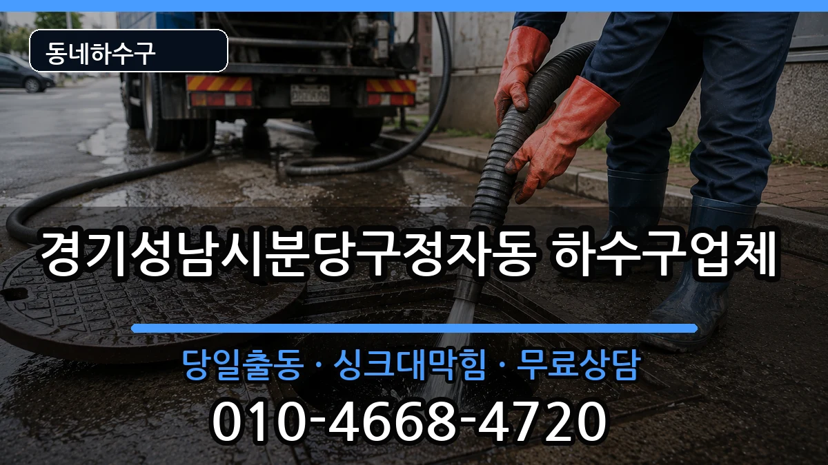 경기성남시분당구정자동  하수구막힘 정보형