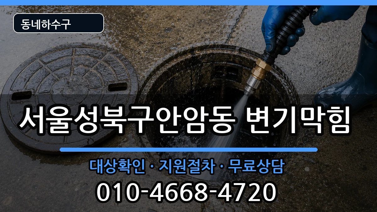 서울성북구안암동 변기막힘 증상 처리 안내 이미지 3