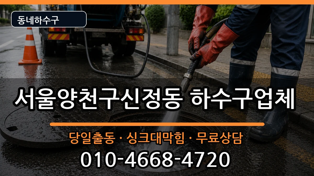 서울양천구신정동 하수구막힘 서울양천구신정동 하수구막힘 증상 처리 안내 이미지 3