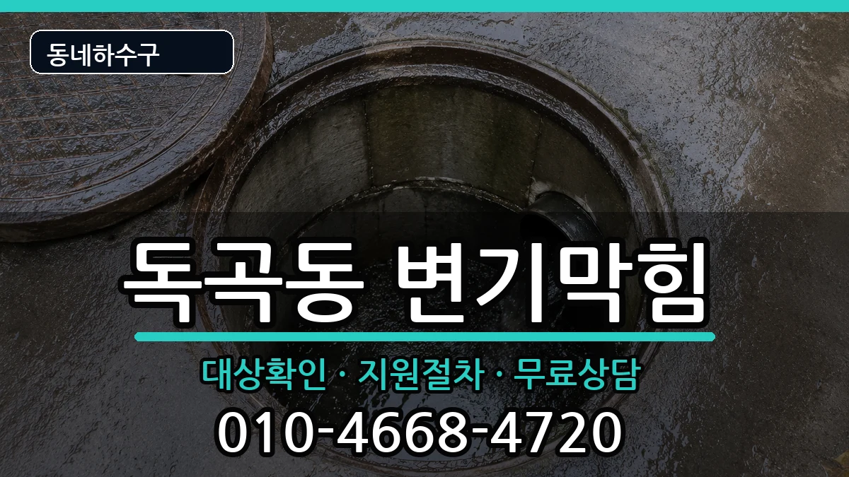 경기평택시독곡동 변기막힘 증상 처리 안내 이미지 2