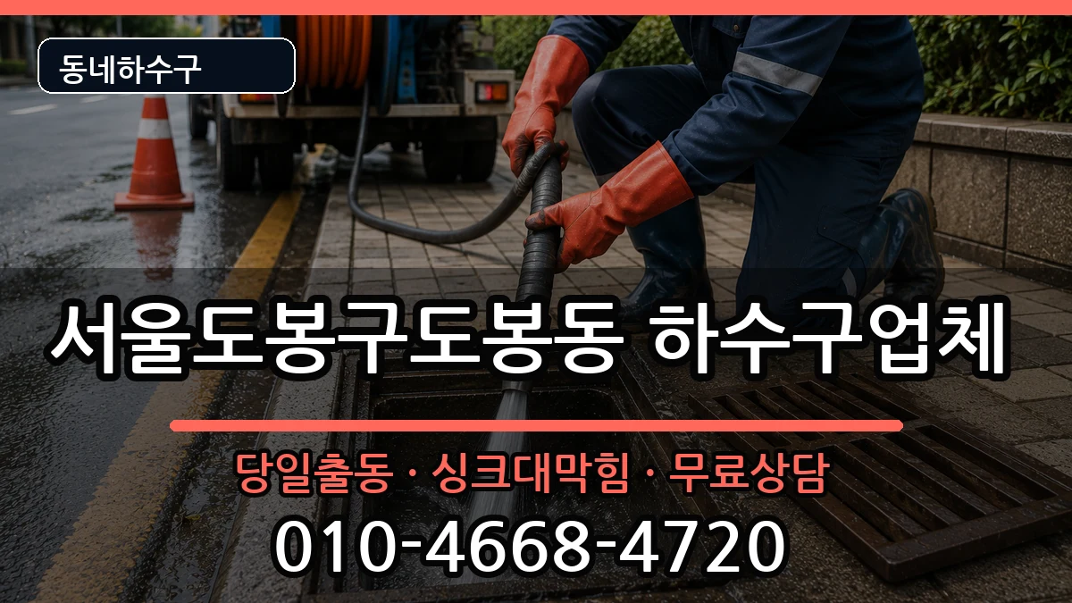 서울도봉구도봉동 하수구막힘 서울도봉구도봉동 하수구막힘 증상 처리 안내 이미지 1