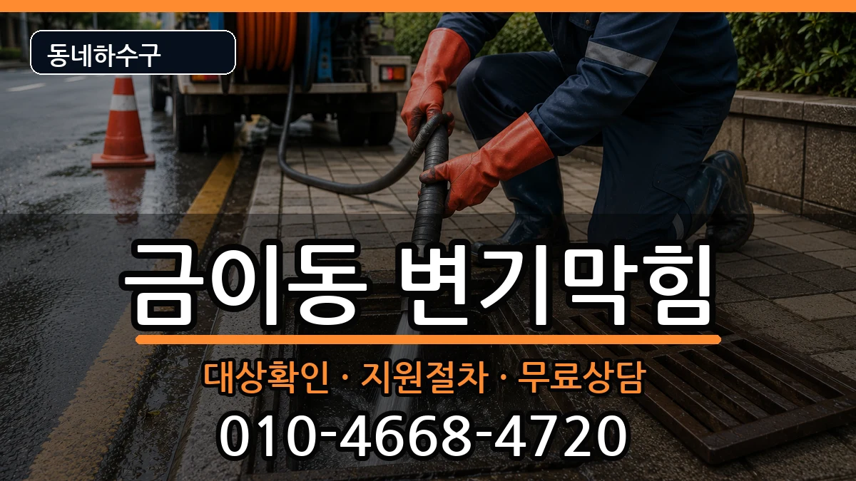 경기시흥시금이동  변기막힘 질문형