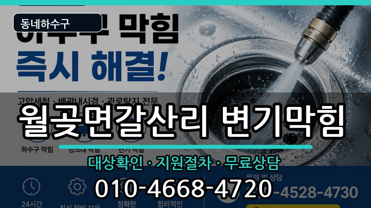 경기김포시월곶면갈산리 변기막힘 경기김포시월곶면갈산리 변기막힘 증상 처리 안내 이미지 3