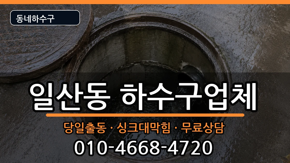경기고양시일산서구일산동 하수구막힘 경기고양시일산서구일산동 하수구막힘 증상 처리 안내 이미지 3