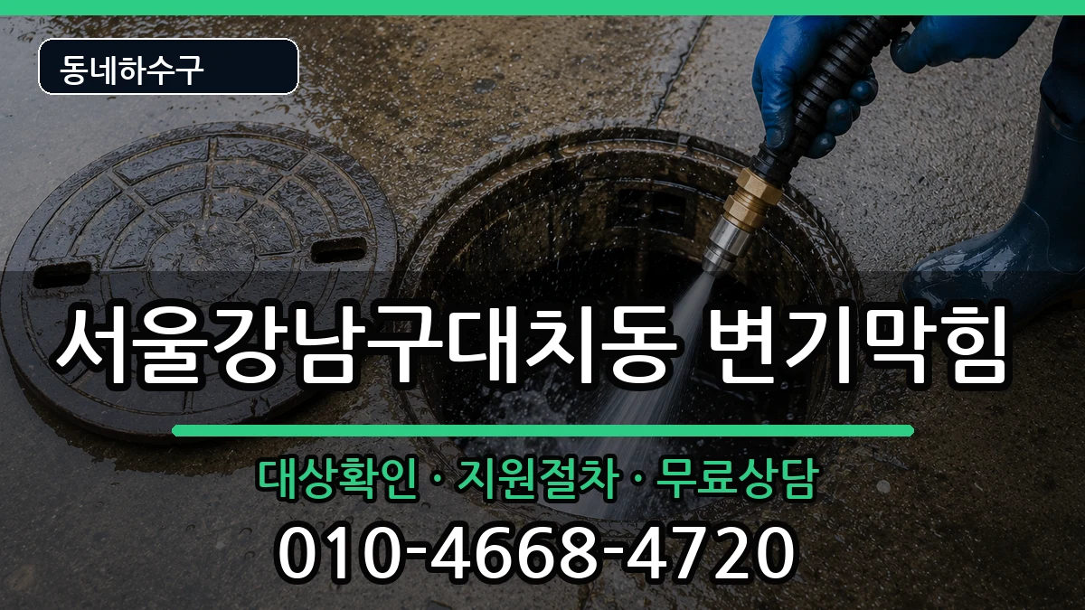 서울강남구대치동 변기막힘 서울강남구대치동 변기막힘 증상 처리 안내 이미지 3
