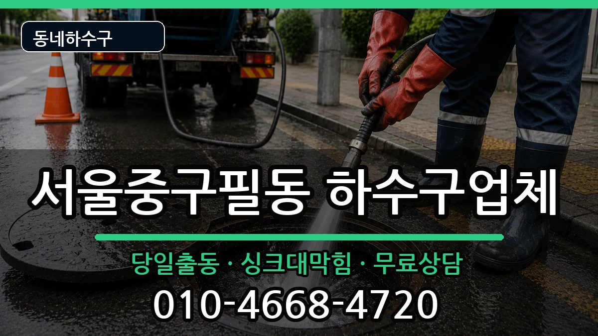 서울중구필동 하수구막힘 서울중구필동 하수구막힘 증상 처리 안내 이미지 1